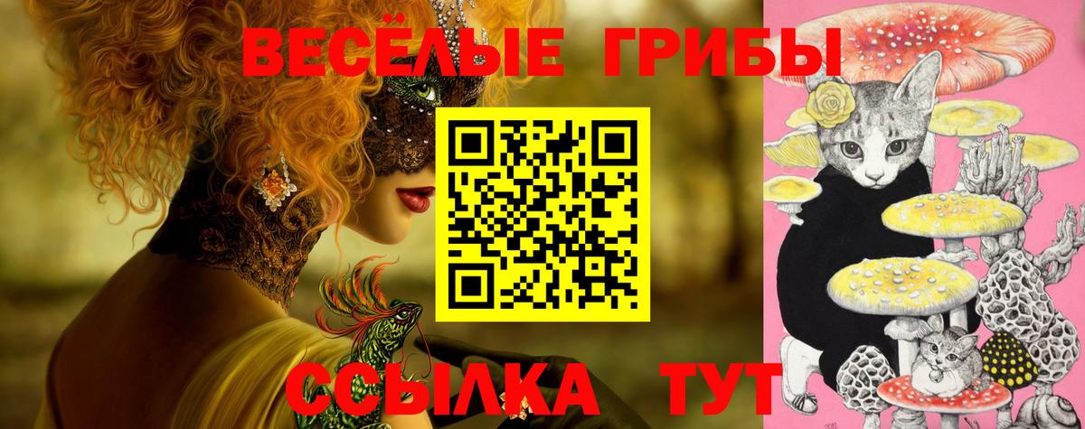 Красный Сулин  Галлюциногенные грибы ЛСД  Вход с VPN 